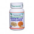 Planet Ayurveda-Boswellia Curcumin